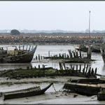 Squelettes de bateaux à Noirmoutier