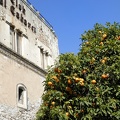 Oranger et Palazzo Ciampoli