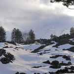 Fin d'après-midi sur l'Etna