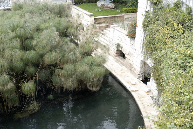 La Fontaine Aretusa à Syracuse