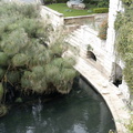 La Fontaine Aretusa à Syracuse