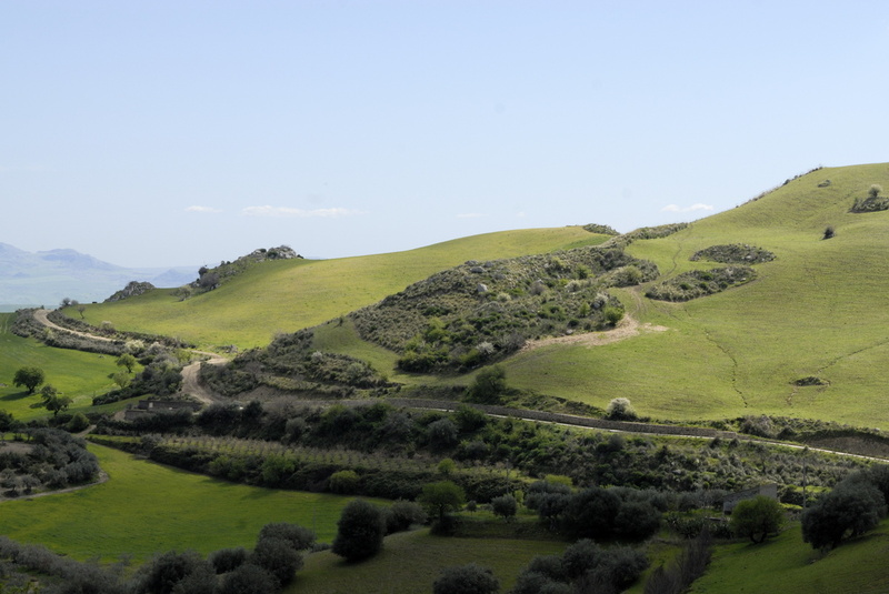 Vert sicile de printemps