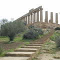 Il Templio di Hera Lacinia
