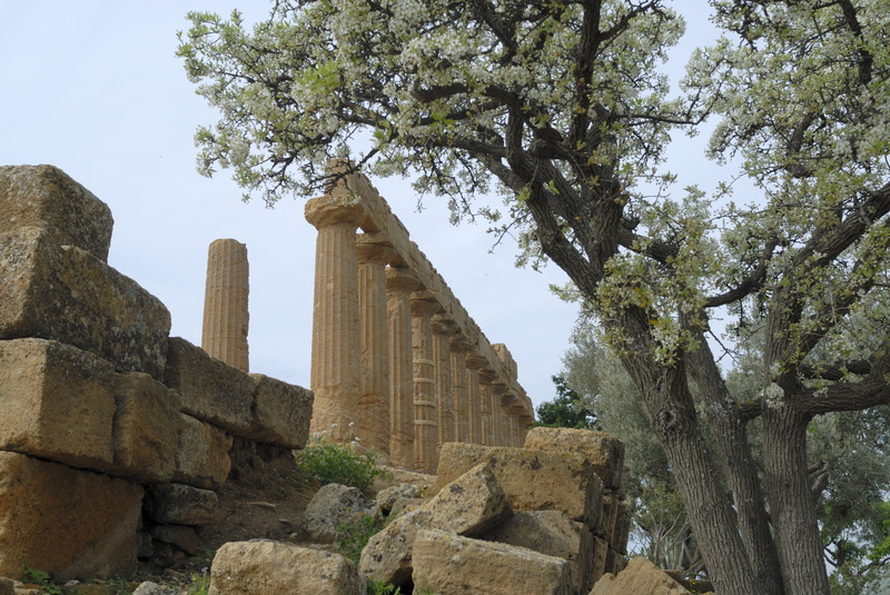 Le Temple et l'amandier