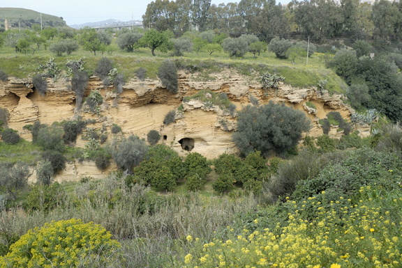 Le Jardin de la Kolymbetra