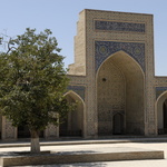 L'arbre de la cour de la mosquée Kalon
