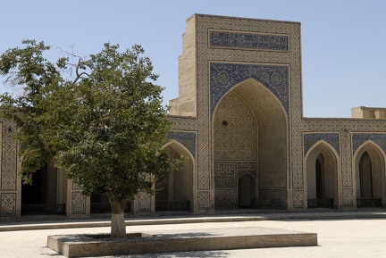 L'arbre de la cour de la mosquée Kalon