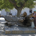 L'arbre germé du bâton de Nakhchbandi