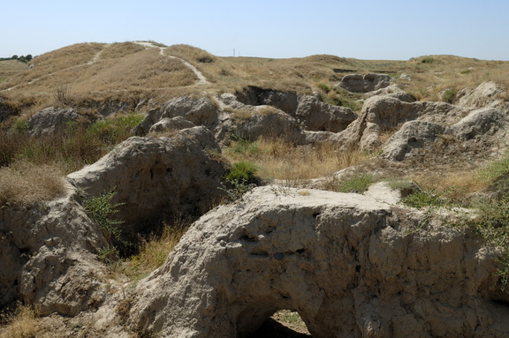 Le champ de fouille (abandonné) du site d'Afrasiab