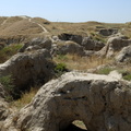 Le champ de fouille (abandonné) du site d'Afrasiab