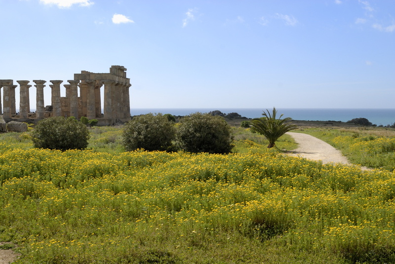 Le printemps à Sélinonte