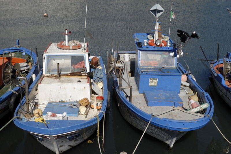 Bateaux bleux