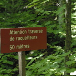 Attention, traverse de raquetteurs (... à neige)