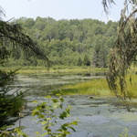 Un des nombreux étangs du parc de la Mauricie