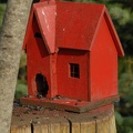 Maison rouge à écureuils