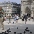 Un ami des pigeons