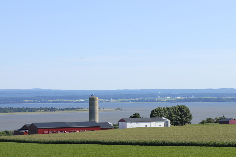 Ferme rouge et blanche