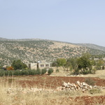 Vers Zrazir, dans la plaine de la Bekaa