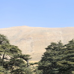 La montagne, déboisée au cours des siècles