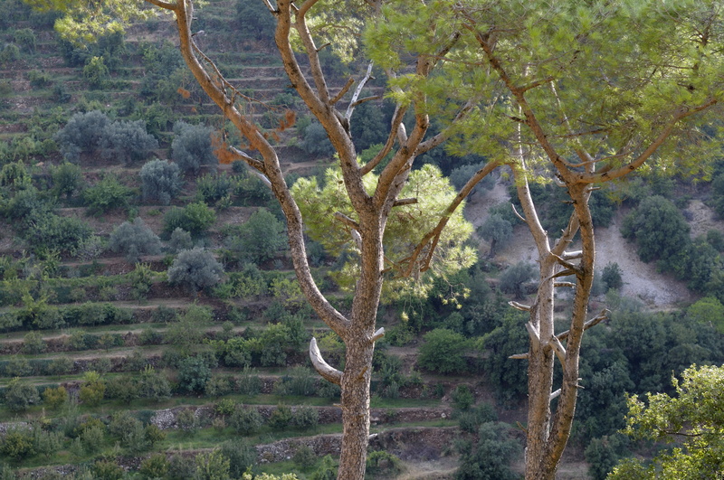 Air tranquille de la fin d'après-midi