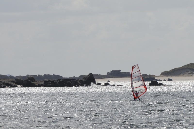 Mer grise, planche corail