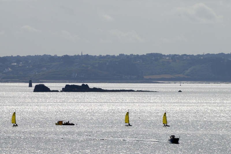 Voiles jaunes sur mer d'argent