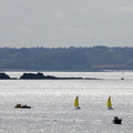 Voiles jaunes sur mer d'argent