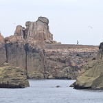 Chemin d'accès au phare du Paon