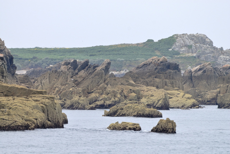 La côte de l'Ile est déchiquetée