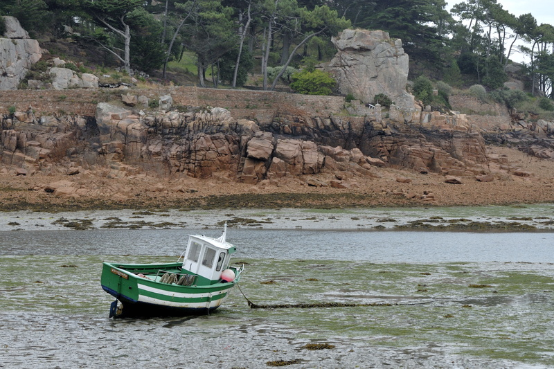 Le Zig-Homard (ha-ha) sur le sable