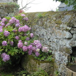 Fontaine