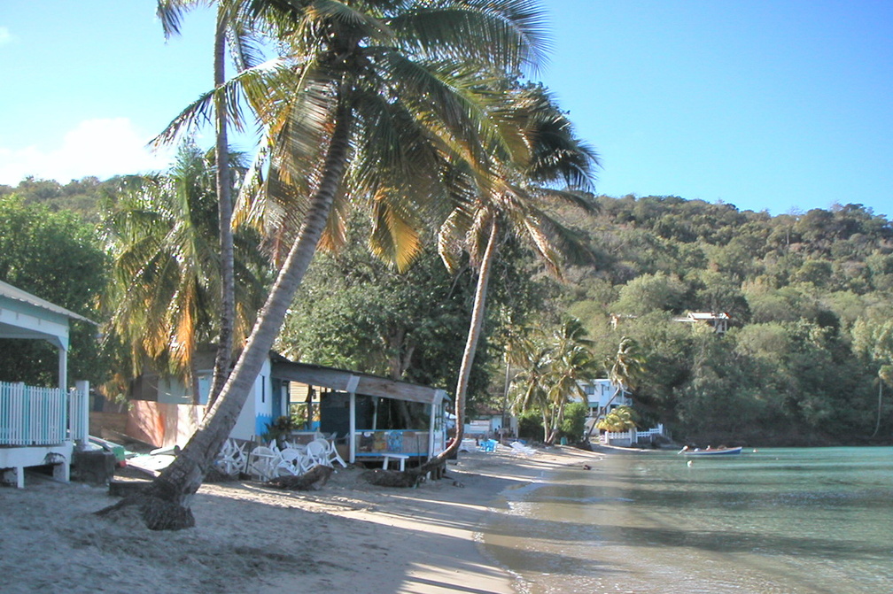 Lumière du matin (Grande Anse)