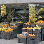 La saison des oranges