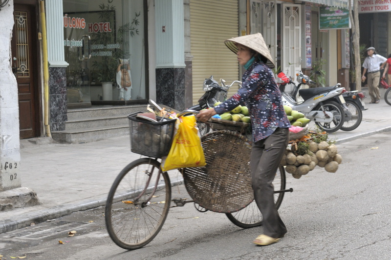 Vendeuse ambulante de fruits et légumes