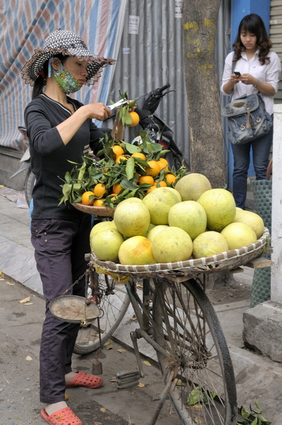 Préparation des fruits pour la vente