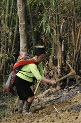 Femme hmong au travail (et bébé)