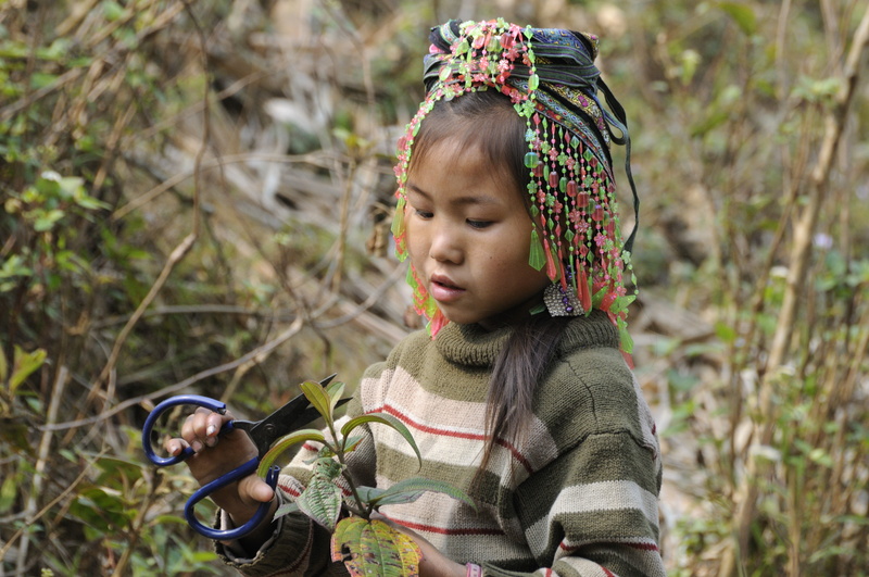 Petite fille hmong aux ciseaux