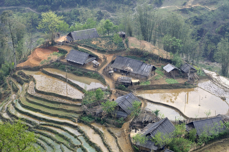 Village hmong