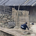Préparation de palissades en bambou