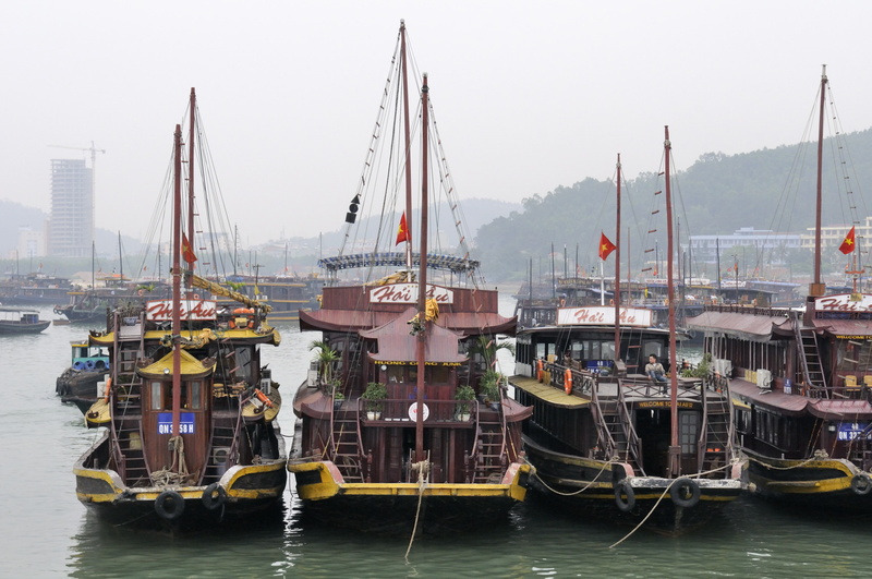 Les bateaux attendent sagement au quai d'Ha Long