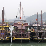 Les bateaux attendent sagement au quai d'Ha Long