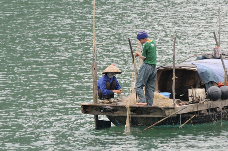 Pêche au filet dans la baie d'Along