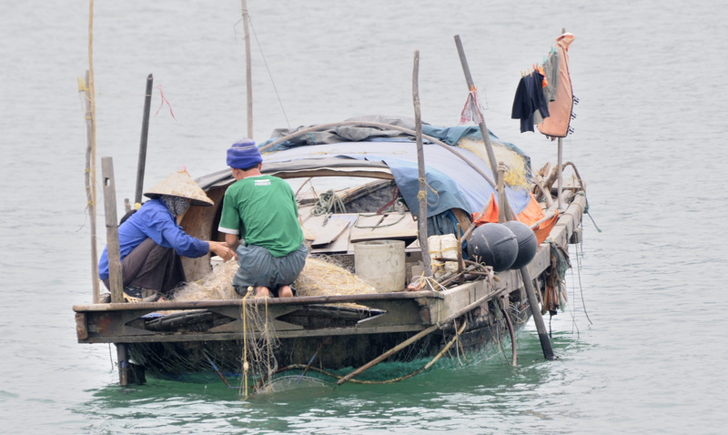 La pêche n'a pas été très fructueuse aujourd'hui