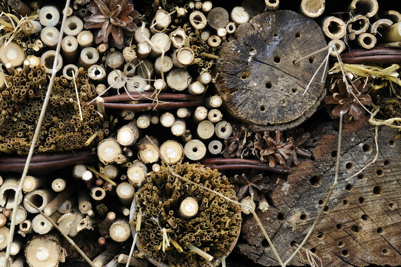 Hôtel pour insectes