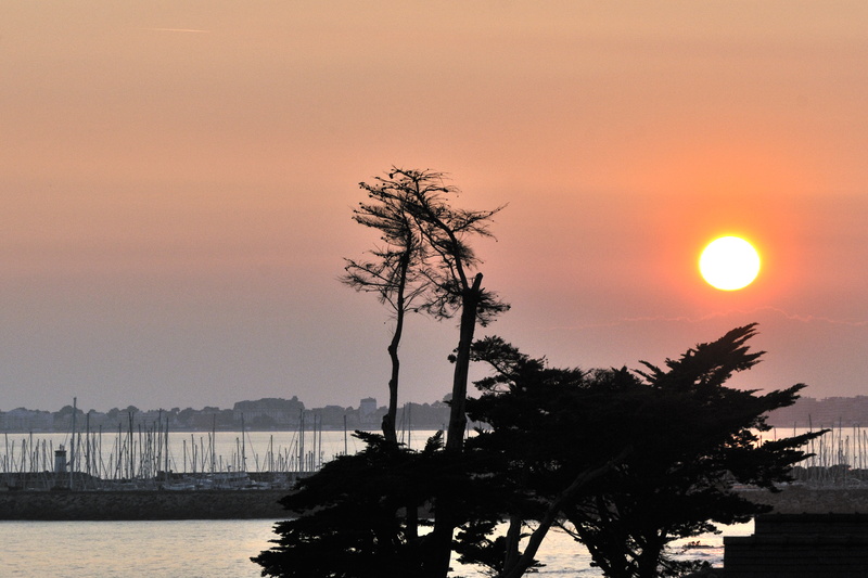 Encore un cliché (photographique)