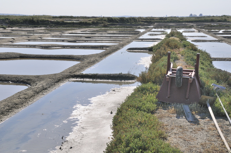 Les marais salants de Guérande