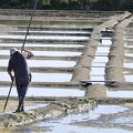 Les algues sont enlevées