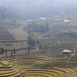 Can Cau : paysage de terrasses