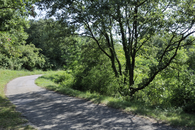 Sur la route de Thorrenc