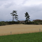 Burdignes